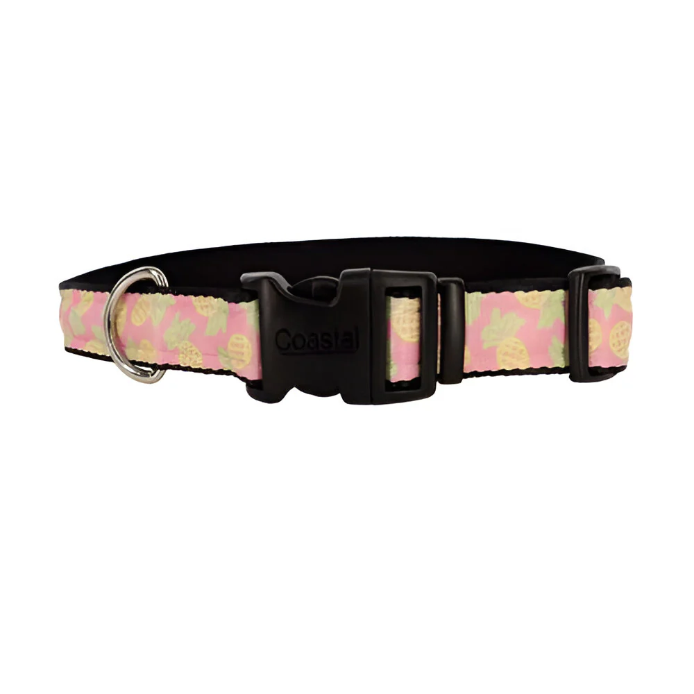 Collar Amarillo Pinita 1" x 14" 20"